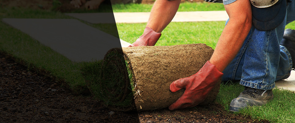 New Philadelphia Landscapers